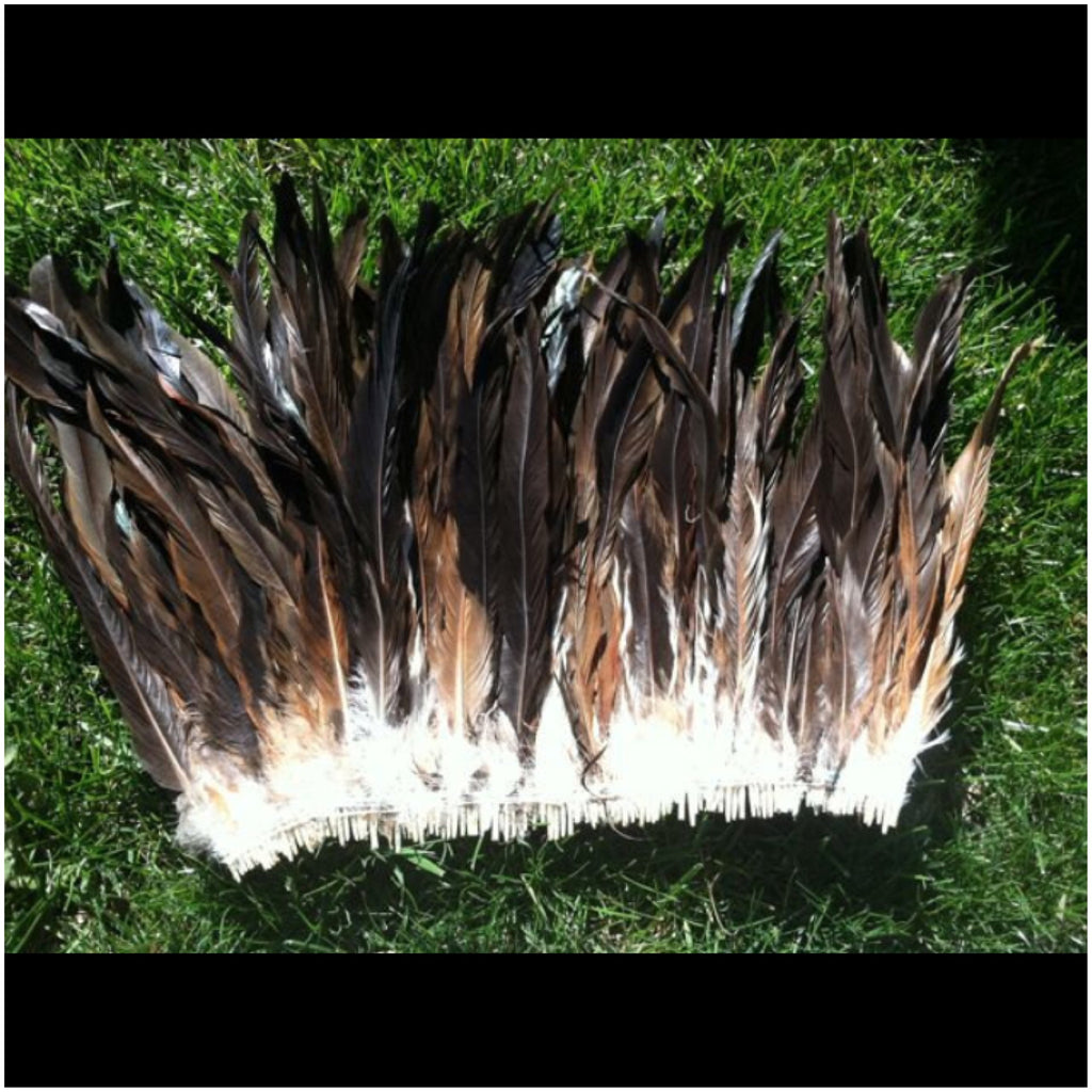 Rooster Tail Feathers 11-14 long Natural Colors – California Hula Center