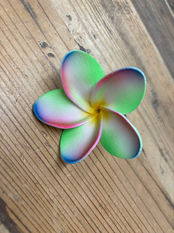 Foam Rounded Petal Plumeria Hair Pick- Rainbow