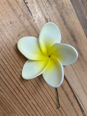 Foam Rounded Petal Plumeria Hair Pick- White