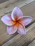 Foam 3.5” Plumeria Hair Pick- Pink Splash