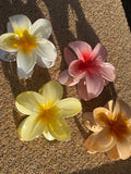 Ombre Single Plumeria Hair Claws (Sunny’s Beach Treasures)