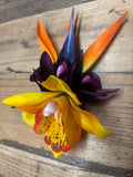 Yellow and Eggplant Purple Orchid Hair Clip with Bird of Paradise Leaves