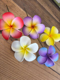 Foam Sweet Plumeria Hair Pick- White/Yellow