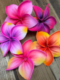 Foam 4.5” Bright Plumeria Hair Pick- Lavender/Orange Tip