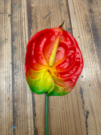 Giant Anthurium Real Touch Flower Stem- Red/Green/Yellow