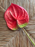 Anthurium Real Touch Flower Stem