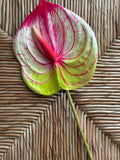 Anthurium Real Touch Flower Stem