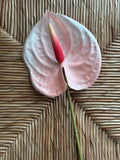 Anthurium Real Touch Flower Stem