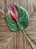 Anthurium Real Touch Flower Stem