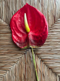 Anthurium Real Touch Flower Stem