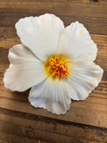 Soft Foam Hibiscus Clip- White