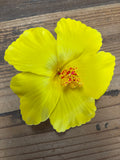 Soft Foam Hibiscus Clip- Yellow