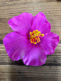 Soft Foam Hibiscus Clip- Purple