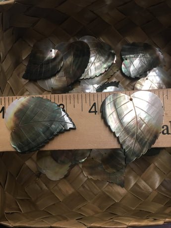 Mother of Pearl Blacklip Wide Leaf Shell