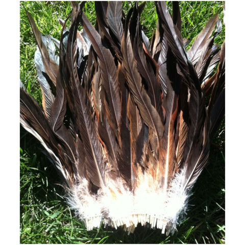 5,594 Rooster Feathers Stock Photos, High-Res Pictures, and Images