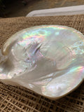 Mother of Pearl Natural Pearl Rough Shell