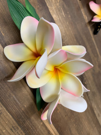 Five Plumeria Giant Hair Clip- Pink Tip